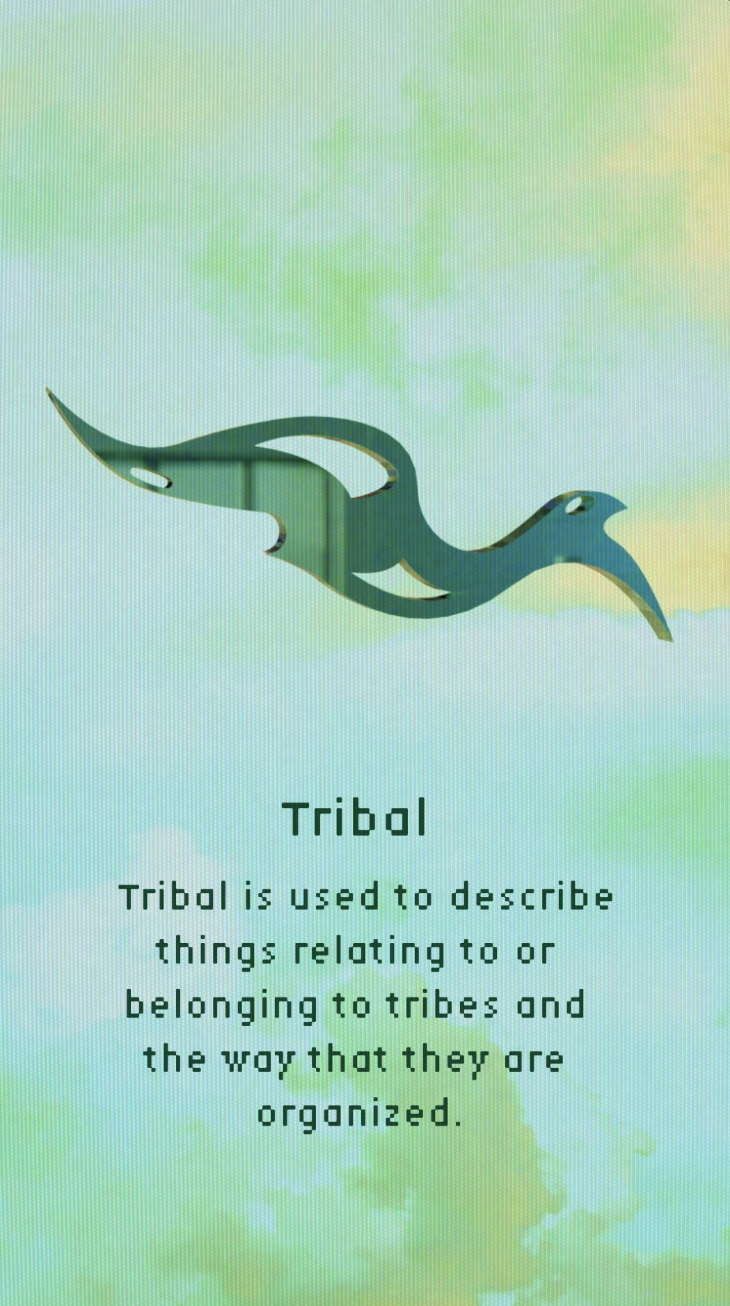Tribal Portfolio Paula Molina